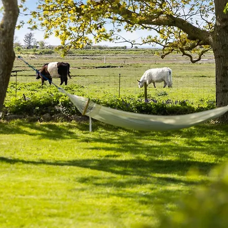 Vakantiehuis Gorgeous In With Kitchen *