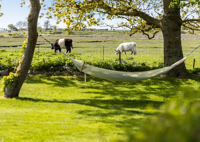 Vakantiehuis Gorgeous In With Kitchen *